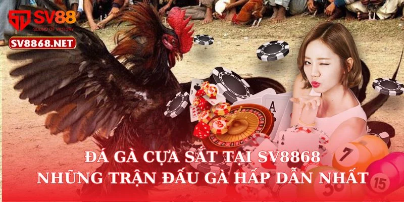 Đá Gà Cựa Sắt Tại SV88 – Những Trận Đấu Gà Hấp Dẫn Nhất 5 Đá Gà Cựa Sắt Tại SV88 – Những Trận Đấu Gà Hấp Dẫn Nhất