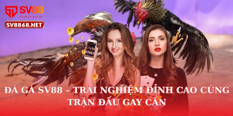 Đá Gà Sv88 – Trải Nghiệm Đỉnh Cao Cùng Trận Đấu Gay Cấn 7 Đá Gà Sv88 – Trải Nghiệm Đỉnh Cao Cùng Trận Đấu Gay Cấn