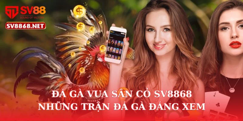 Đá Gà Vua Sân Cỏ Sv88 – Những Trận Đá Gà Đáng Xem 2 Đá Gà Vua Sân Cỏ Sv88 – Những Trận Đá Gà Đáng Xem