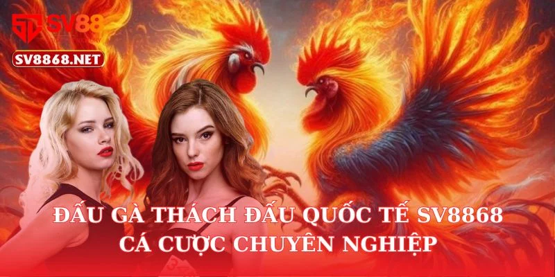 Đấu Gà Thách Đấu Quốc Tế SV88 – Cá Cược Chuyên Nghiệp 1 Đấu Gà Thách Đấu Quốc Tế SV88 – Cá Cược Chuyên Nghiệp