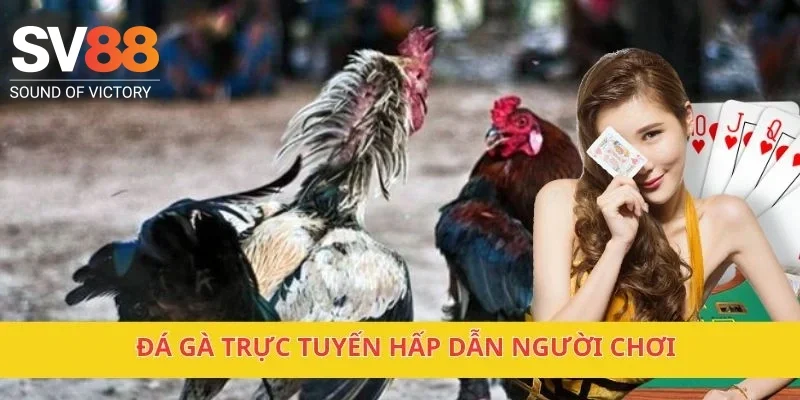 SV88 | nhà cái sv88 {pragati.in.net} cập nhật 2025 14 Đá gà trực tuyến hấp dẫn người chơi